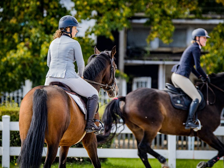 Trensen für Ponys 🐴: Die ultimative Anleitung